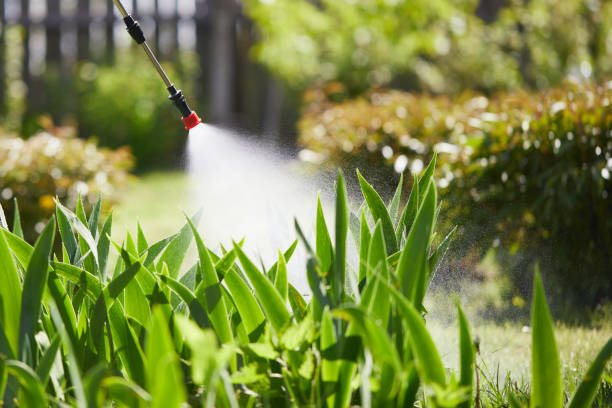 24/7 Emergency Termite Control experts in Ladson, SC