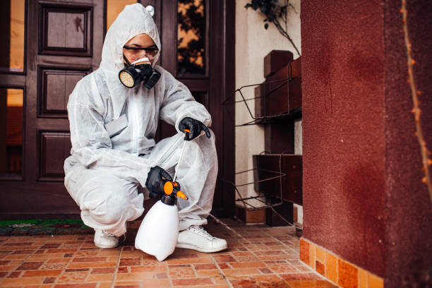 Reliable Termite Control contractor in Ladson, SC by Nex Pest Control